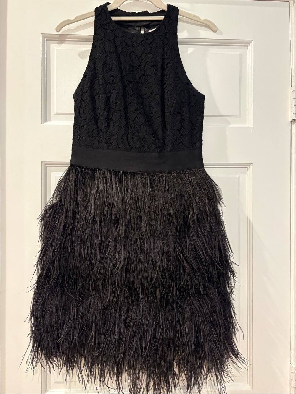 Milly Black Lace Bodice Feather Skirt Dress